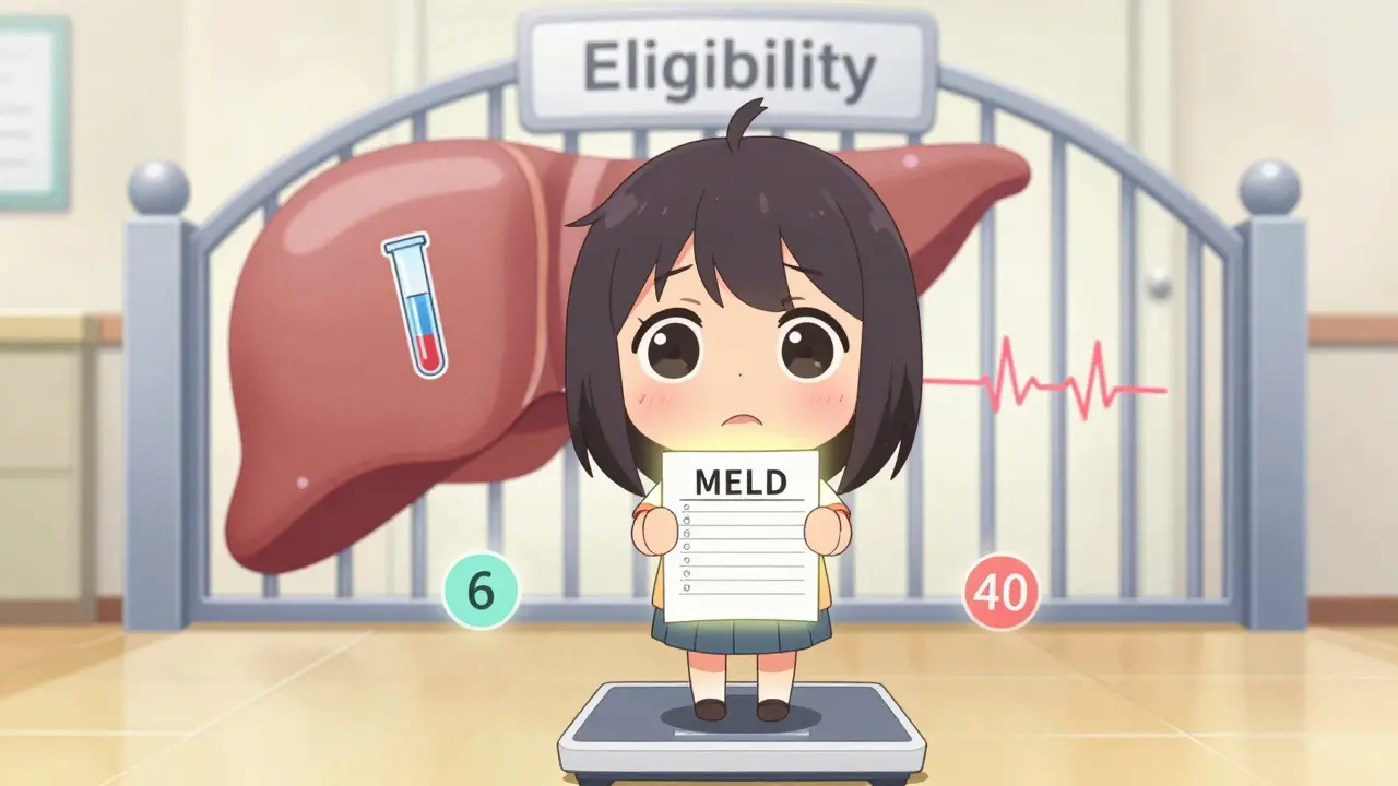 Liver Transplantation: Eligibility, Surgery, and Immunosuppression Explained